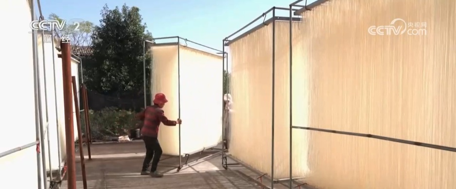 冬“鲜”上市受青睐 特色产业铺就乡村振兴“富民路”