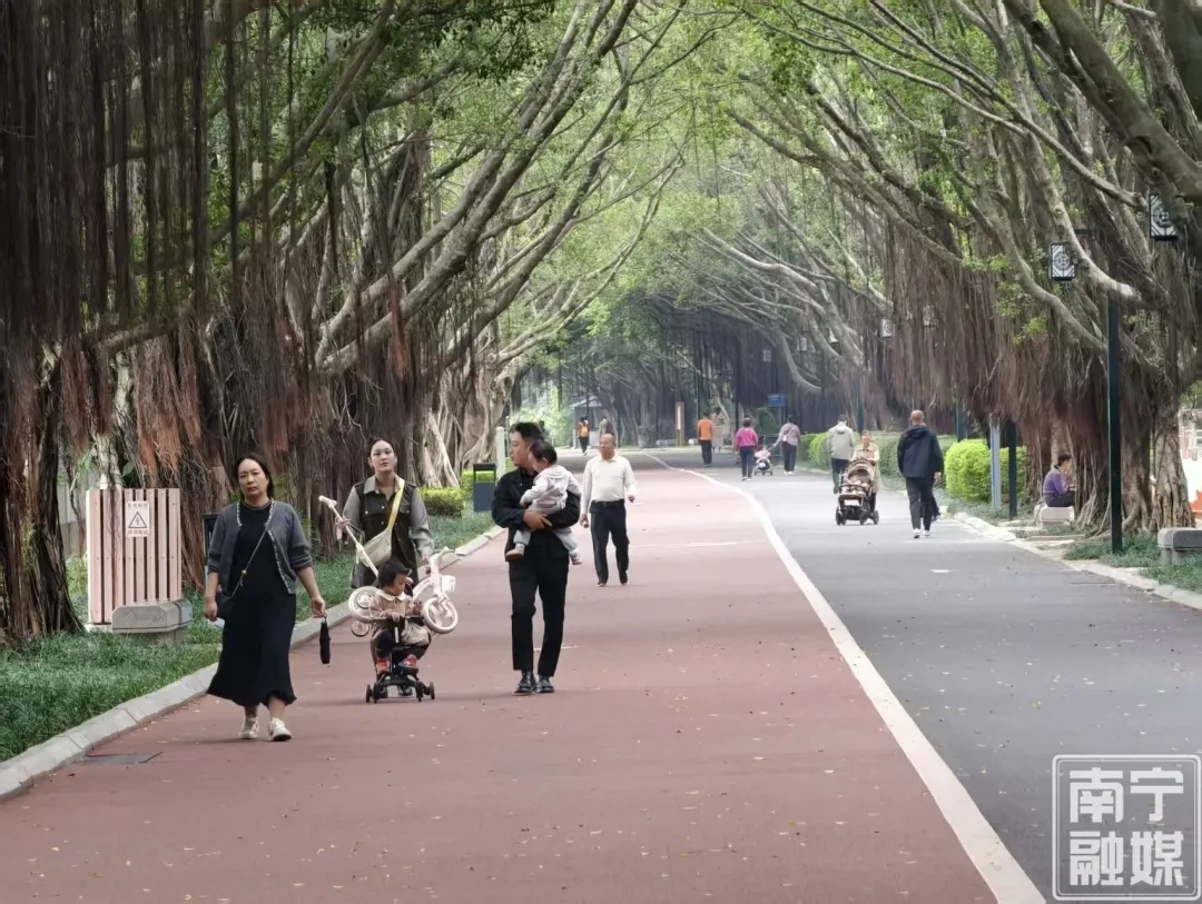 气温回升，南宁“入冬”失败！本月还有三次冷空气“待机”