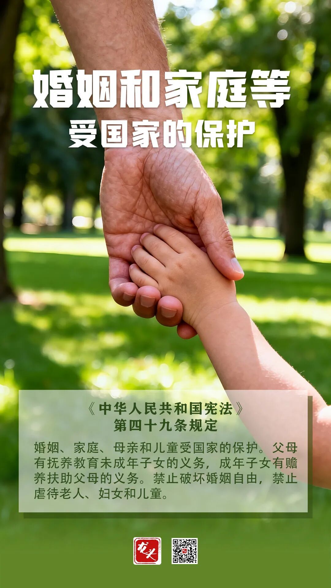 国家宪法日｜关于宪法，你了解多少？