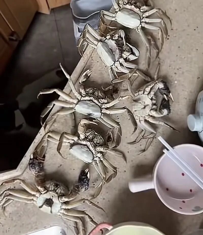 “网购8只螃蟹死了6只”的AI合成诈骗事件追踪：店主称网传“买家要上门算账”是谣言