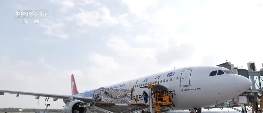 中国农产品出口规模、品类、市场覆盖面提升 精准服务架起出海“快车道”