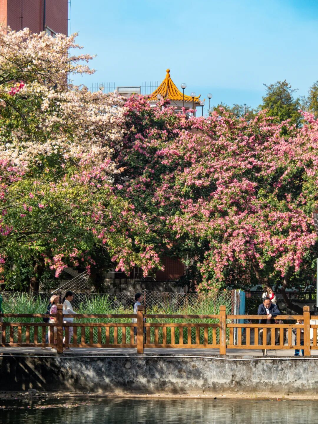 广州限定“雪景”刷屏 广州限定“雪景”刷屏