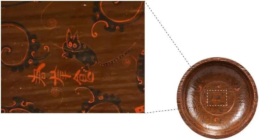 家猫何时传入中国？有新发现！