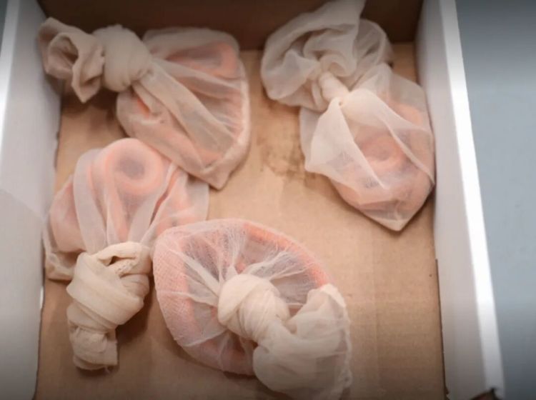 女子神色慌张，海关在其裤子口袋内查获4条用肉色丝袜装着的活体蛇