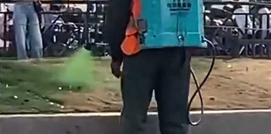 广州街头草坪人工染绿？城管部门回应