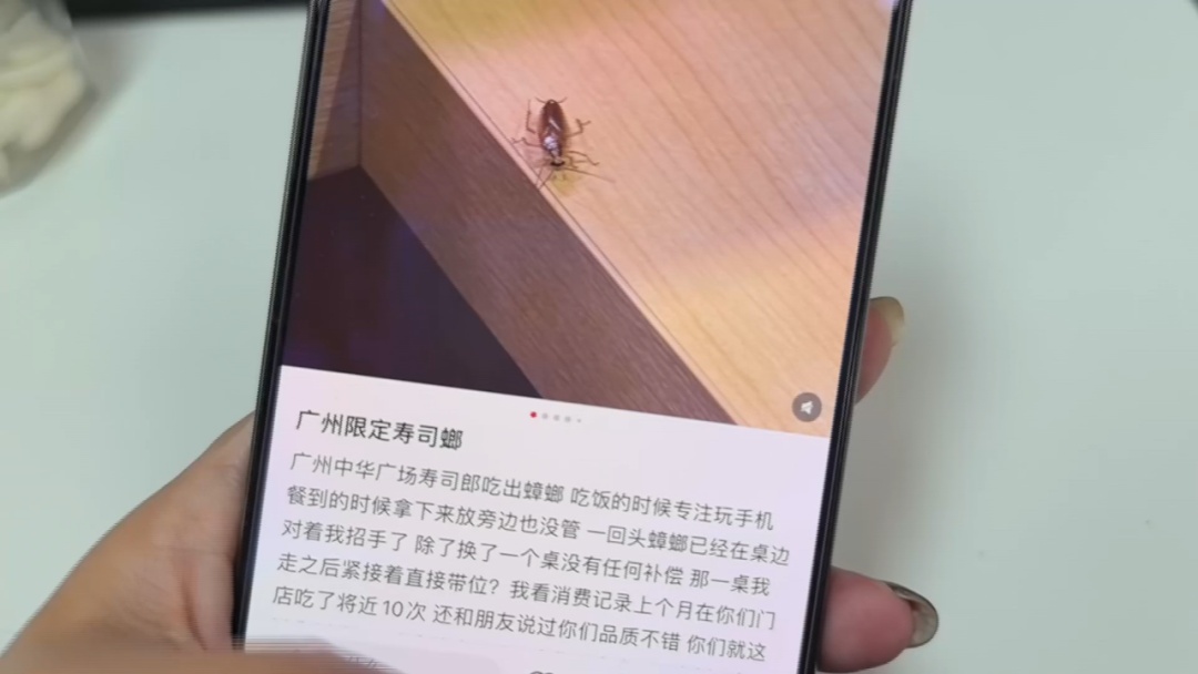 顾客就餐时突然出现蟑螂，寿司郎广州一门店：紧急安排消杀