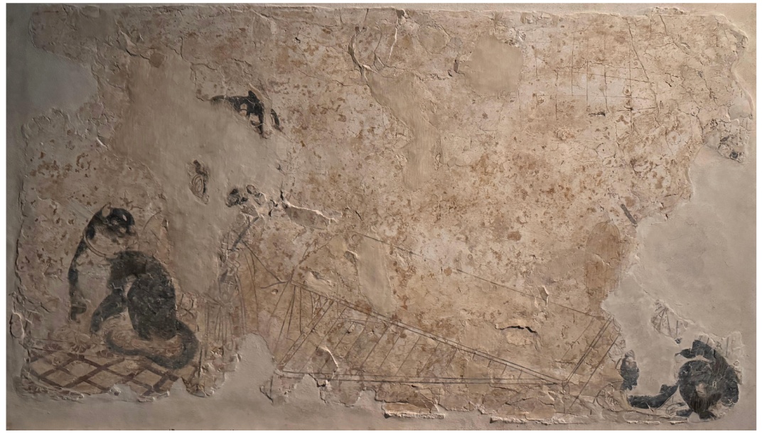 家猫何时传入中国？有新发现！