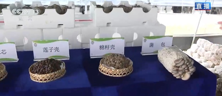 冬藏万般味化身百姓“致富宝” 科技加持开拓蔬菜产业发展新路径