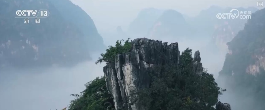 畅通“大动脉”为经济发展“添”动能 强劲钢铁“脉动”彰显经济蓬勃活力