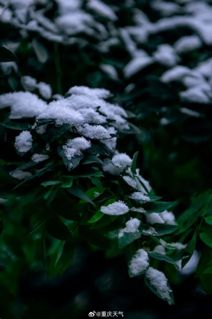 重庆已有11个区县入冬!你那里入冬了吗? 重庆已有11个区县入冬!你那里入冬了吗?