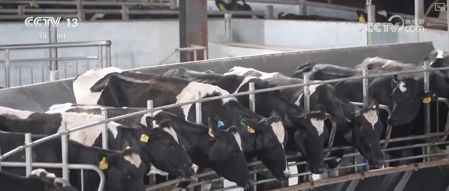 中国农产品出口规模、品类、市场覆盖面提升 精准服务架起出海“快车道”