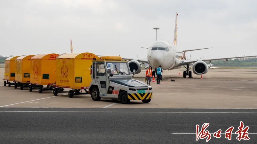 首单！泰国榴莲“鲜”达海南自贸港