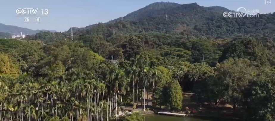 植物种质资源保护体系加速完善 多样化保护让沙漠“活化石”“子孙满堂”