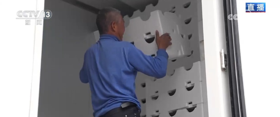 冬藏万般味化身百姓“致富宝” 科技加持开拓蔬菜产业发展新路径