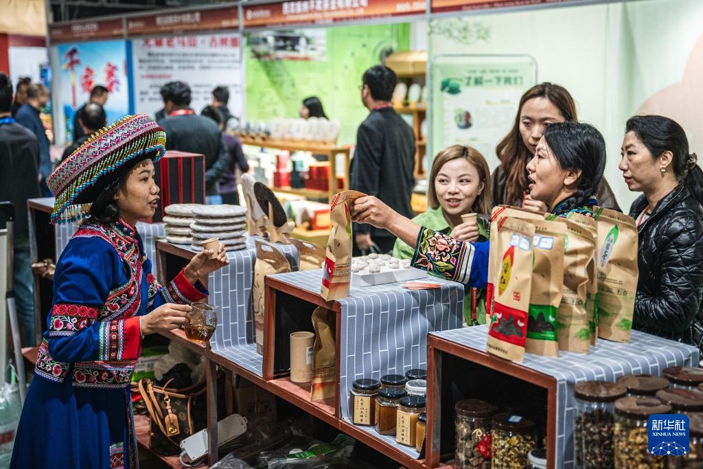 云南普洱：博览会上的茶咖相遇