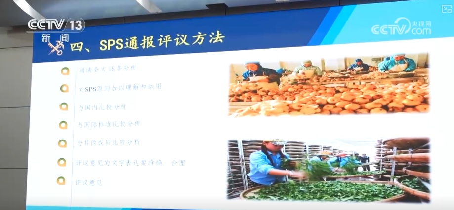 中国农产品出口规模、品类、市场覆盖面提升 精准服务架起出海“快车道”