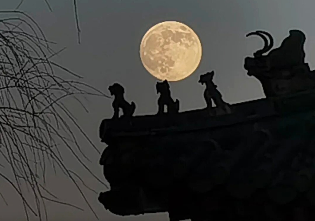 今晨，“超级月亮”最圆，2025年最后一次！