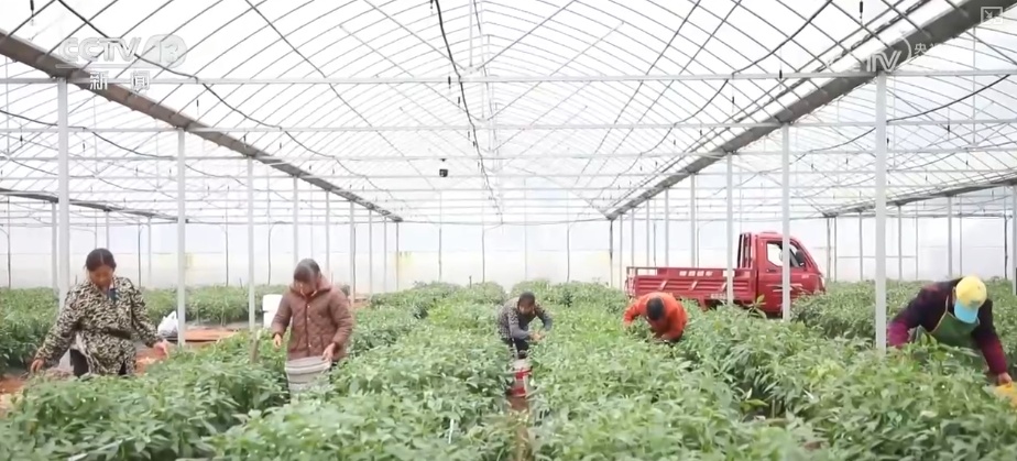 11月份大宗商品“成绩单”出炉 利好叠加为实现全年经济增长目标提供稳支撑 11月份大宗商品“成绩单”出炉 利好叠加为实现全年经济增长目标提供稳支撑