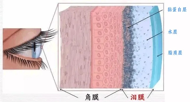 每次眨眼,都似千万根针在扎!最近出现这些症状,一定要注意 每次眨眼,都似千万根针在扎!最近出现这些症状,一定要注意