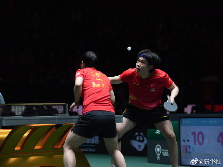 王楚钦孙颖莎3比0张本美和户上隼辅 王楚钦孙颖莎3比0张本美和户上隼辅
