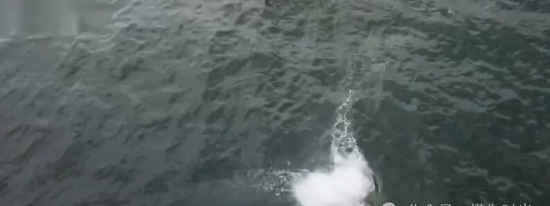 王一博录制综艺节目，没有保护措施徒手攀岩，因手滑坠海