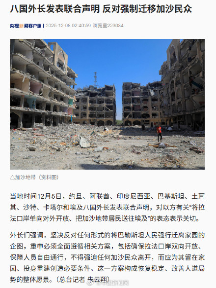 八国外长发表联合声明&nbsp;反对强制迁移加沙民众