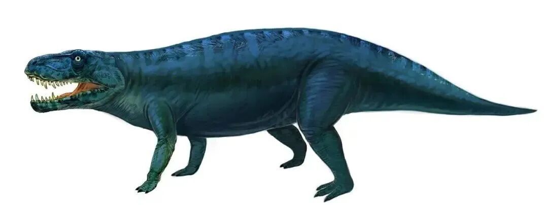 都江堰首次发现恐龙足迹,距今约2亿年 都江堰首次发现恐龙足迹,距今约2亿年