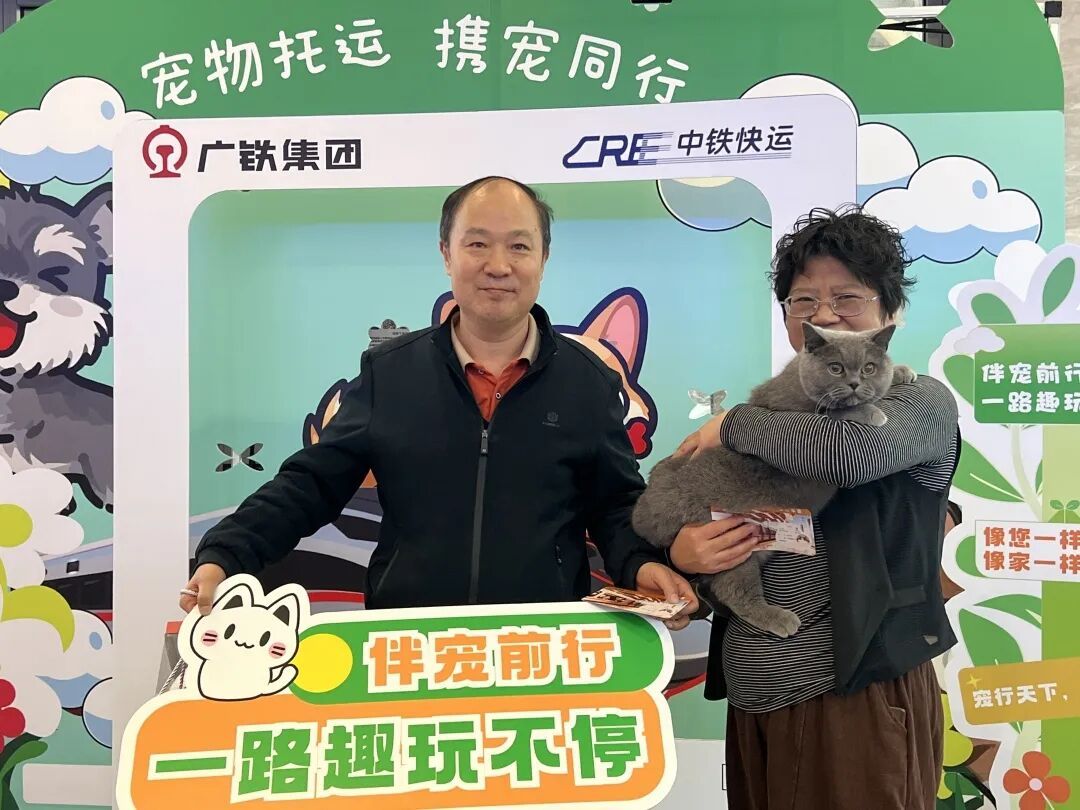 广州白云站首位猫咪旅客到站：是一只从长沙来的英国短毛猫，高铁宠物托运指引来了