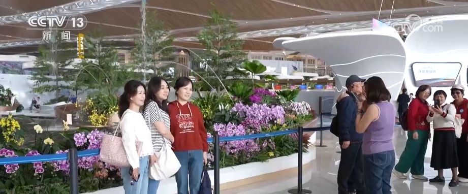 旅客与游客齐聚、民航与文旅融合 粤港澳大湾区机场群建设发展呈现新活力