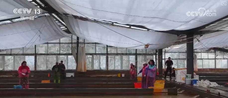 科技赋能海洋经济向“新”而行 “海上牧场”产出“大经济”助农增产增收