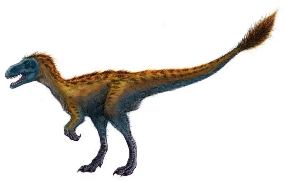 都江堰首次发现恐龙足迹,距今约2亿年 都江堰首次发现恐龙足迹,距今约2亿年