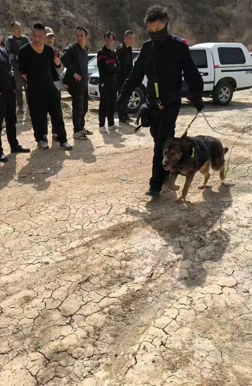 悬赏10万！陕西58岁男子酒后失踪240多天，最后一通电话称“没路了”，多方搜救