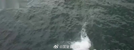 王一博无保护措施徒手攀岩手滑坠海 王一博无保护措施徒手攀岩手滑坠海