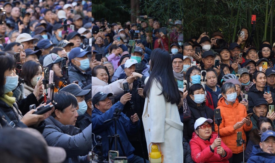 我在公园吹笛子，成了一种“现象”？