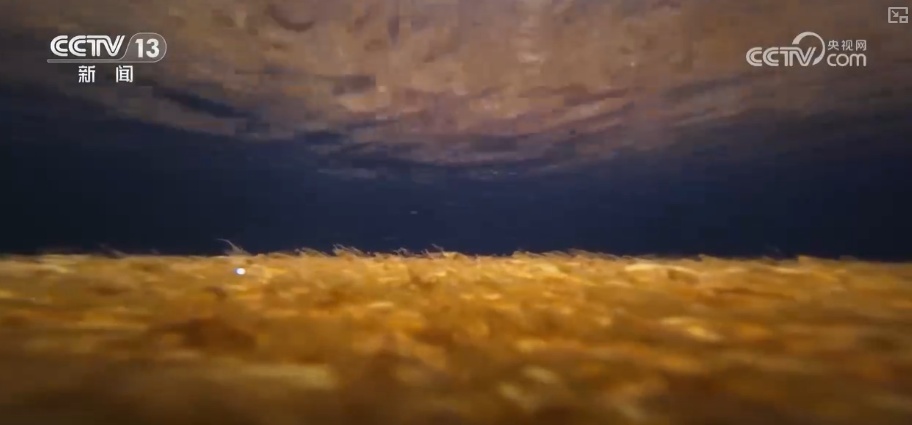 科技赋能海洋经济向“新”而行 “海上牧场”产出“大经济”助农增产增收