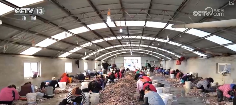 科技赋能海洋经济向“新”而行 “海上牧场”产出“大经济”助农增产增收