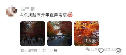 南京栖霞山7点前可免费进入