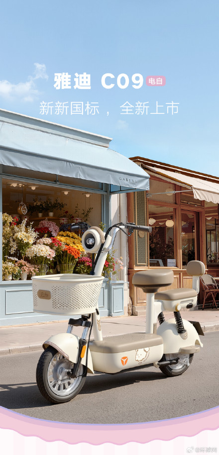 雅迪新车上市 有前后座有车筐 雅迪新车上市 有前后座有车筐