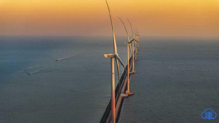 滨海新区新港九号路现“自然与科技”同框盛景 滨海新区新港九号路现“自然与科技”同框盛景