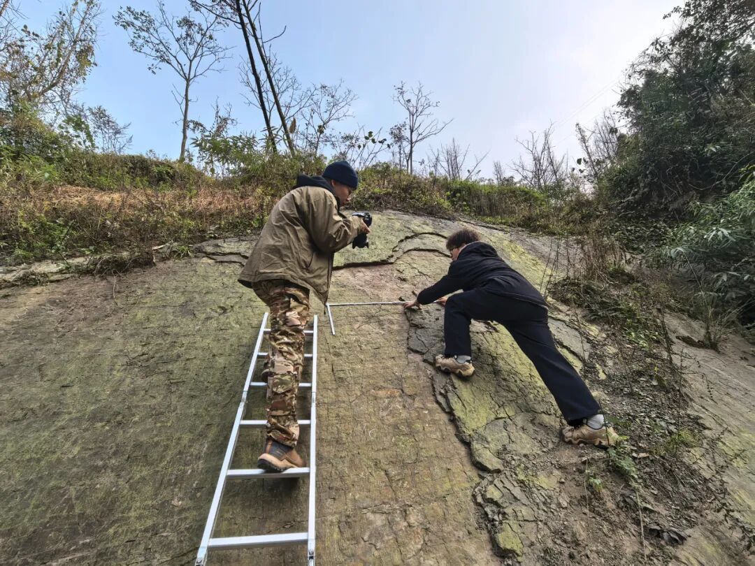 都江堰首次发现恐龙足迹,距今约2亿年 都江堰首次发现恐龙足迹,距今约2亿年