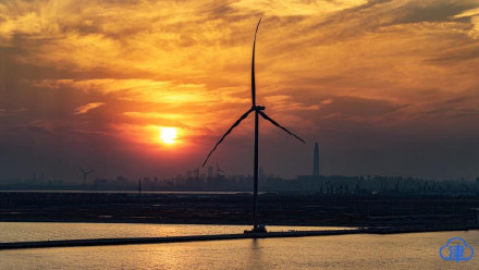 滨海新区新港九号路现“自然与科技”同框盛景 滨海新区新港九号路现“自然与科技”同框盛景