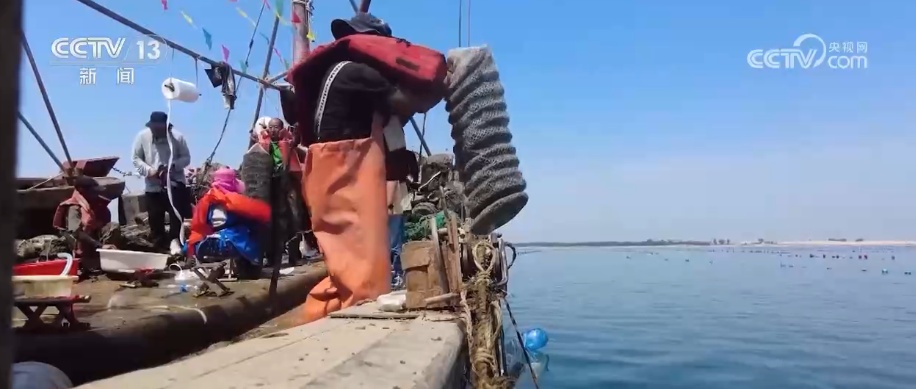 科技赋能海洋经济向“新”而行 “海上牧场”产出“大经济”助农增产增收