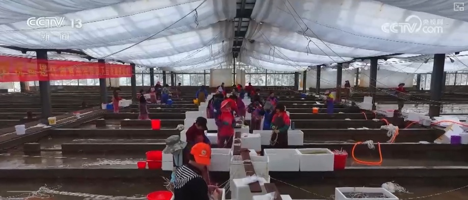 科技赋能海洋经济向“新”而行 “海上牧场”产出“大经济”助农增产增收