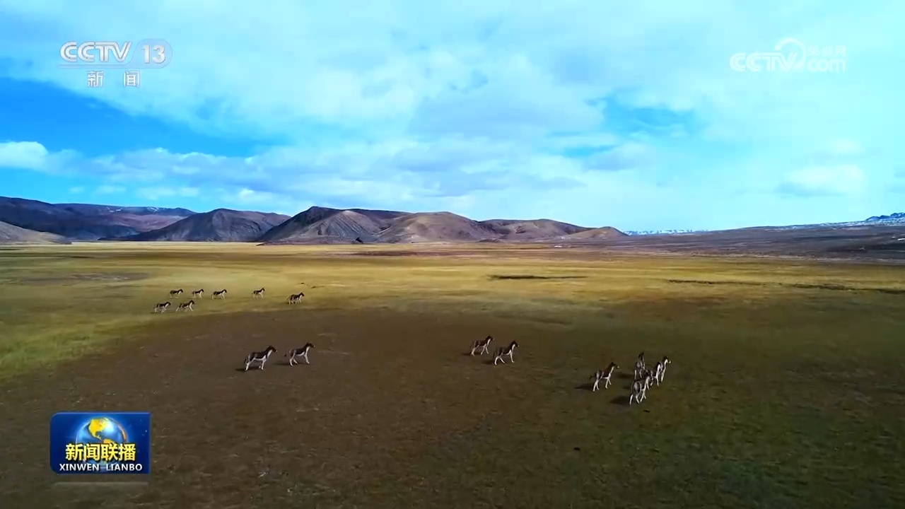 “十四五”期间我国野生植物保护取得重要进展