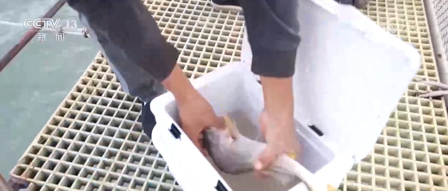 “咖啡专线”“农产品专线”打造消费新景 低空经济新“机”遇激活消费新潜力