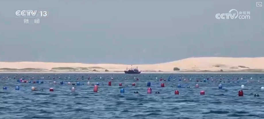 科技赋能海洋经济向“新”而行 “海上牧场”产出“大经济”助农增产增收