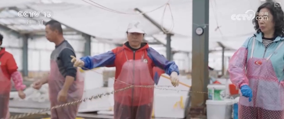 科技赋能海洋经济向“新”而行 “海上牧场”产出“大经济”助农增产增收