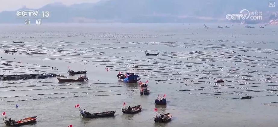 科技赋能海洋经济向“新”而行 “海上牧场”产出“大经济”助农增产增收