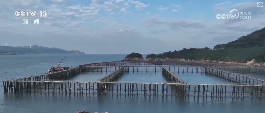 “咖啡专线”“农产品专线”打造消费新景 低空经济新“机”遇激活消费新潜力