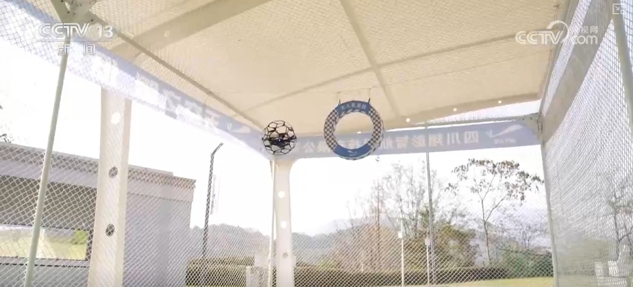 更“新”观察·精致育儿、便利生活、智慧务农、绿色低碳……消费市场活力涌动